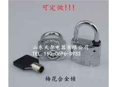 合金锁，梅花钥匙合金挂锁,电力专用合金锁，物业锁图1