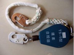 河北力邦起重，重型防坠器，导轨防坠器图1