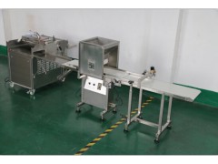 育苗生产线  播种覆土洒水系统--常州风雷图1