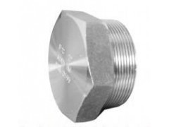 上海管件 六角堵头图1