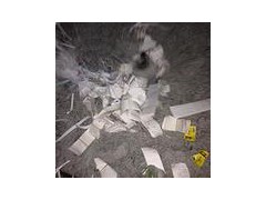 闵行书纸回收,闵行广告纸回收,闵行文件销毁处理图1