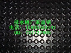 【30mm排水板】北京车库排水板-排水板厂家图1