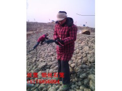 高尔凡PVC覆塑铅丝石笼格网 河流防护铅丝石笼格网图1