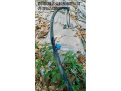 四川节水农业/成都农业节水/重庆农业水肥一体/贵州节水农业图1