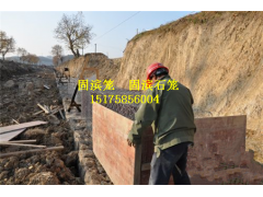 河堤坝脚防护固滨笼 5%锌铝合金PVC覆塑固滨笼价格图1