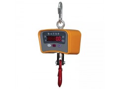 供应3吨直视吊秤，天津吊秤生产厂家图1