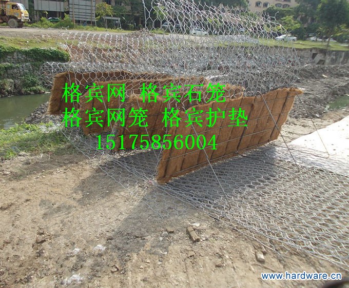 16035969579694_副本