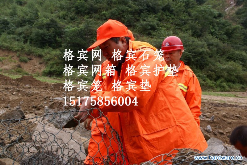 2010082309331347088_副本