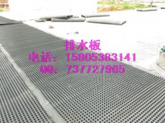 低价供应江苏车库排水板+建筑排水板土工布图1