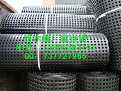 供应重庆排水板/HDPE排水板土工布图1