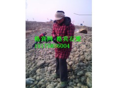 热镀锌8x10格宾网笼价格 河道生态景观格宾网笼图1