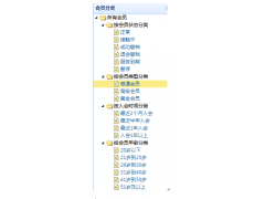 专业相亲会员管理软件-流程管理系统图1