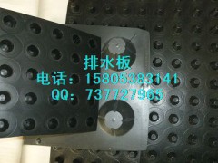长春排水板-辽宁排水板厂家【车库排水板】图1