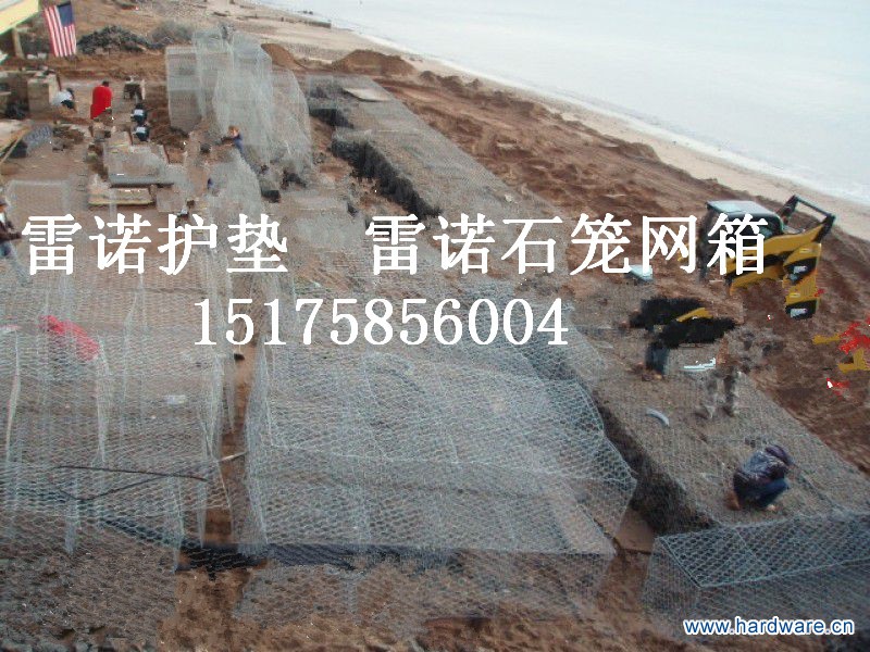 14152890056023_副本