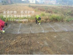 沟渠堤岸护坡雷诺护垫 雷诺护垫价格 固滩护坡雷诺护垫图1