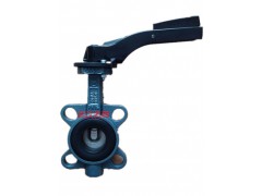 德国依博罗EBRO手动阀门Z011-A DN40图1