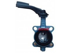 德国EBRO手动阀门Z011-A DN100图1