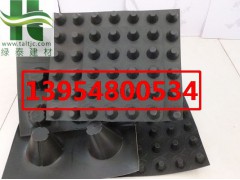 常德塑料排水板张家界地下车库排水板图1