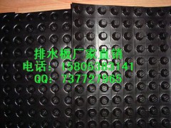 3.0cm排水板*淮北车库排水板厂家供应图1