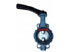 德国EBRO手动阀门Z011-A DN125图1