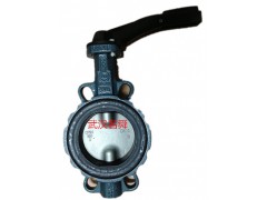 特价德国EBRO气动蝶阀Z011-A DN300图1