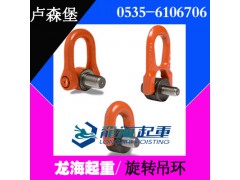 DSS M24卢森堡旋转吊环4.5吨【保质1年】龙海起重图1