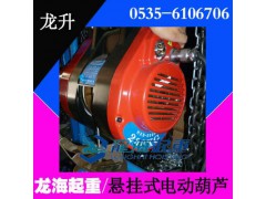 HXS-100F悬挂式电动葫芦【360°旋转安全钩】龙海起重图1