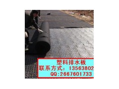 专业青岛烟台屋顶花园绿化排水板土工布图1