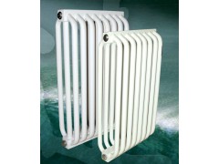 国标GH3-600-1.0钢制弧形管散热器壁厚2.5mm图1