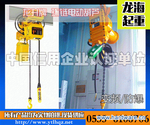 变频环链电动葫芦图片