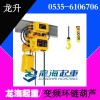 2吨变频环链电动葫芦厂家【起升高度3m-120m】龙海起重