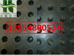 珠海塑料排水板汕头车库排水板图1