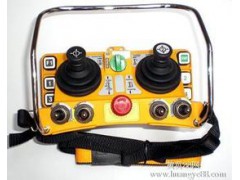 5档双摇杆起重机遥控器F24-60图1