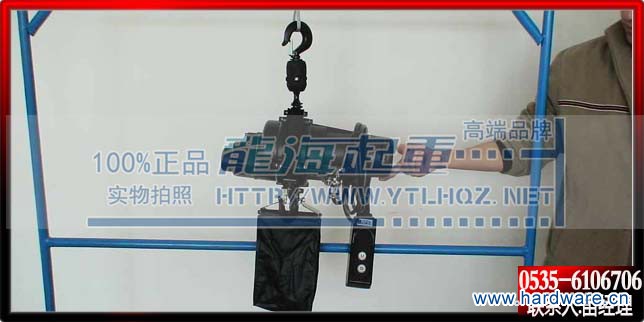 舞台环链电动葫芦图片