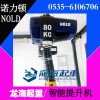 NOLD智能提升机【保质2年/断电自锁保护】龙海起重