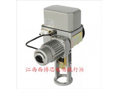 DKZ-310-X直行程电动执行器图1