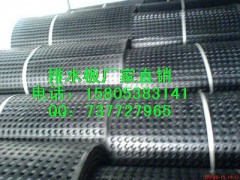 低价供应天津1.5cm排水板*车库排水板土工布图1