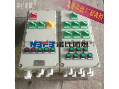 防爆配电箱	 BXMD防爆配电箱   厂家防爆配电箱图1