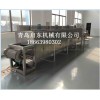 单层网带烘干机