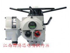 IQM12F10A罗托克rotork智能型电动执行器图1
