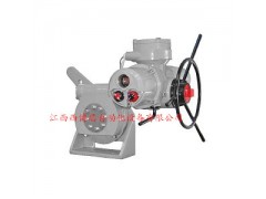 IKT300奥托克角行程电动执行器图1