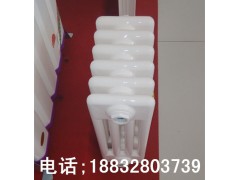 供应GZ4-DN20/700-1.0钢制柱形散热器图1