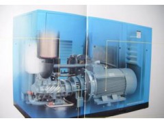 枣庄德盛兰螺杆空压机保养|青岛德盛兰压缩机维修部图1