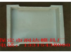 收腰漏水盖板模具厂家图1