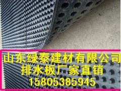 永州车库防水排水板@湘潭排水板价格图1