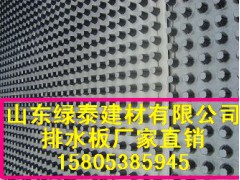 《广东》地下室防潮排水板/珠海车库滤水板图1