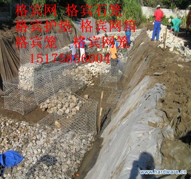 1127764323_798624386