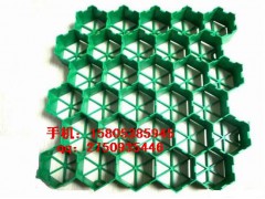 汕头车库排水板%惠州绿化用-植草格图1