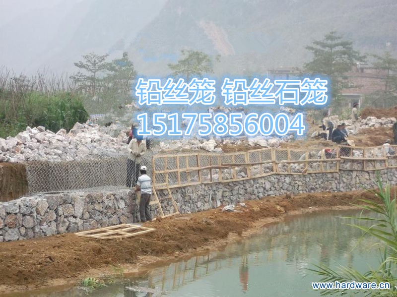 10201333882695_副本