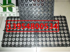 德阳蓄排水板绵阳屋顶绿化蓄排水板图1